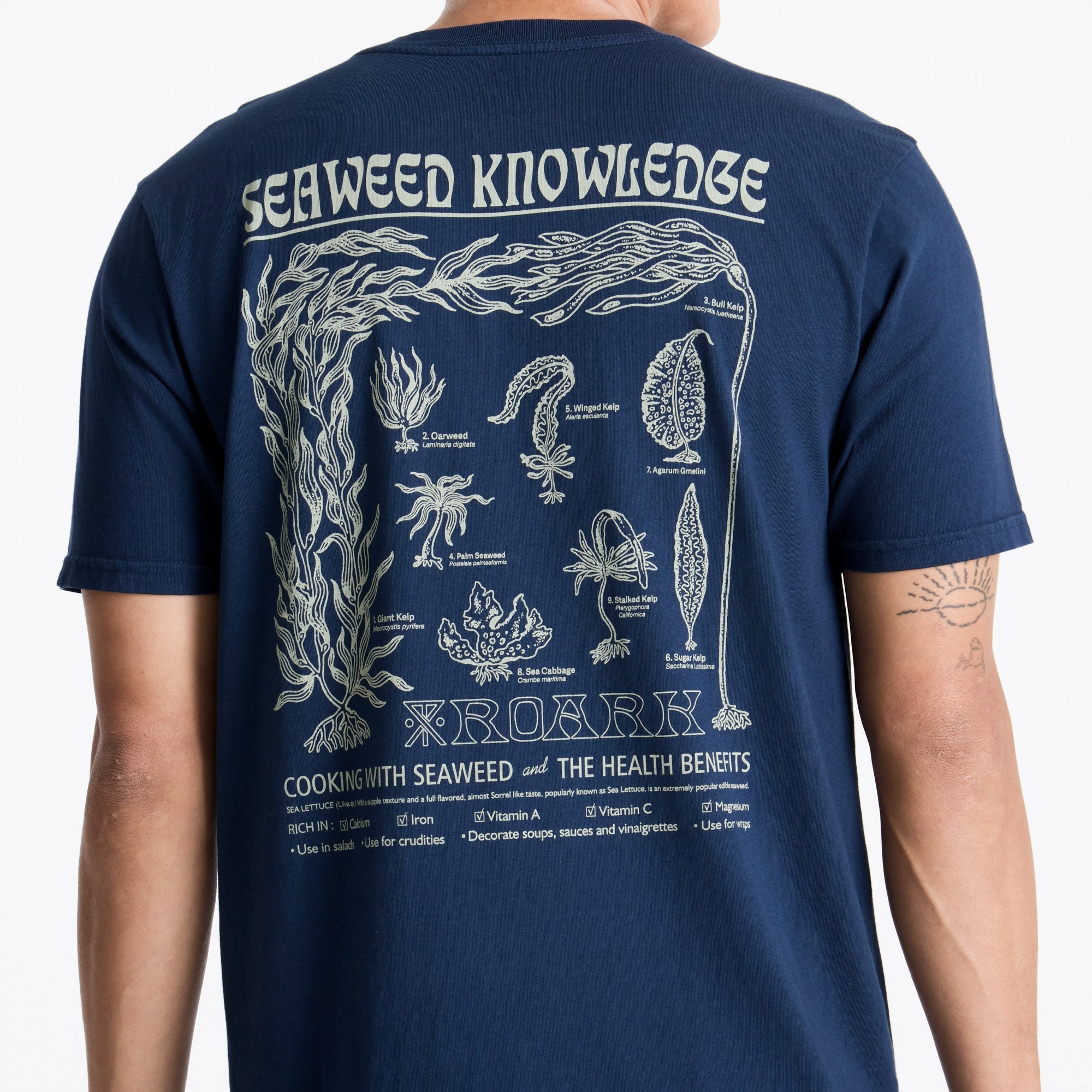 Seaweed Knowledge Premium-T-Shirt - Marine